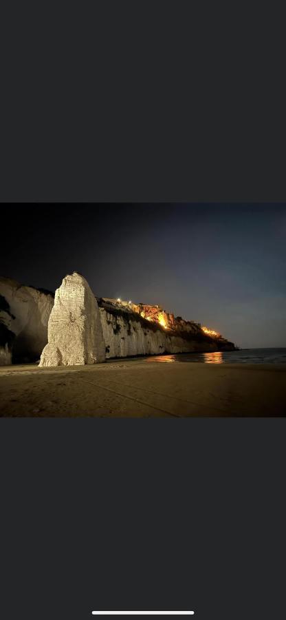 La Perla Del Gargano Home Vieste Dış mekan fotoğraf